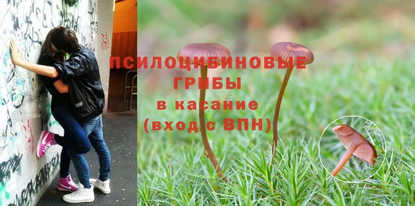 каннабис Аркадак