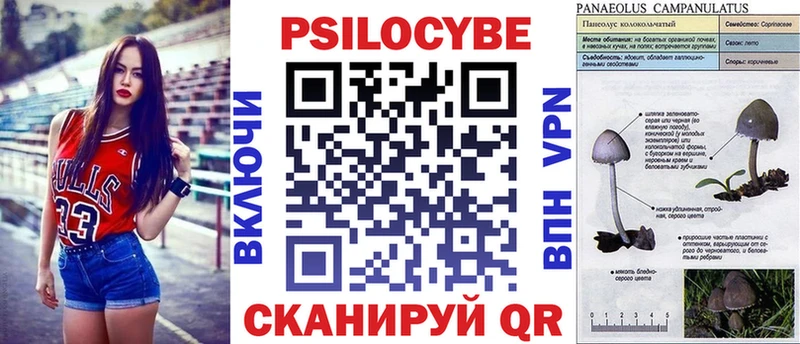 Псилоцибиновые грибы Psilocybe что такое наркотик Рудня